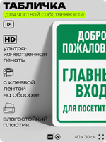 Табличка для частной территории "Добро пожаловать, главный вход", на дом, для участка, организаций и частных территорий, предупреждающая, 40х30 см, Silver Plane x Айдентика Технолоджи
