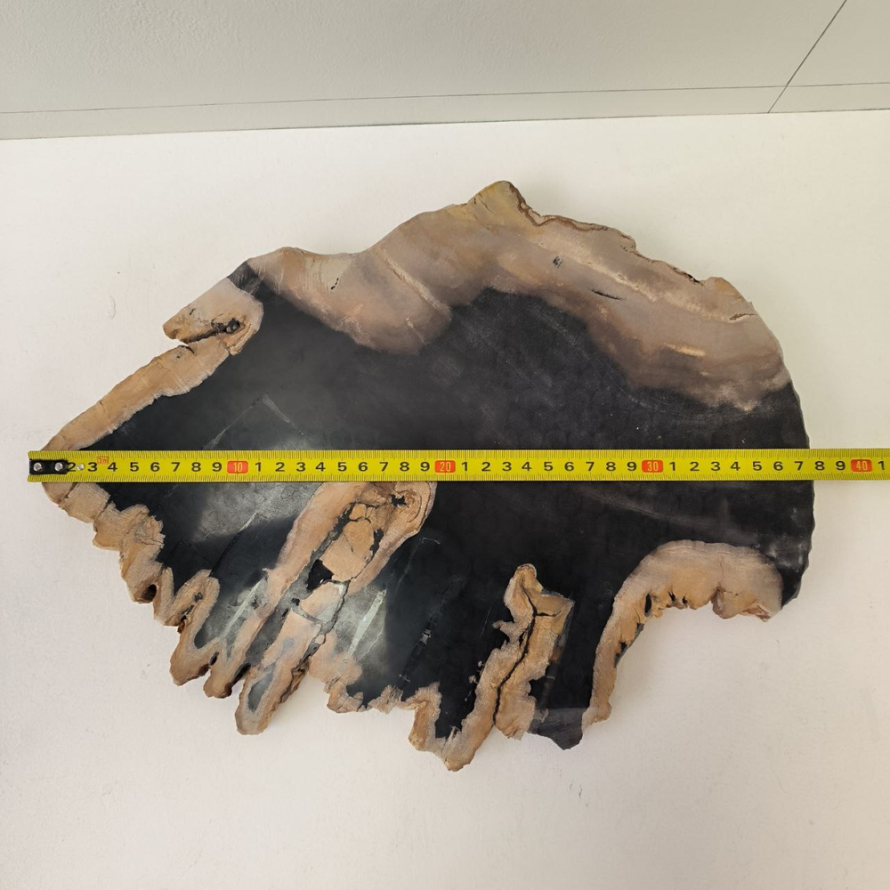 Набор из окаменелого дерева 4 предм Fossil Set NF-63296 поднос 149