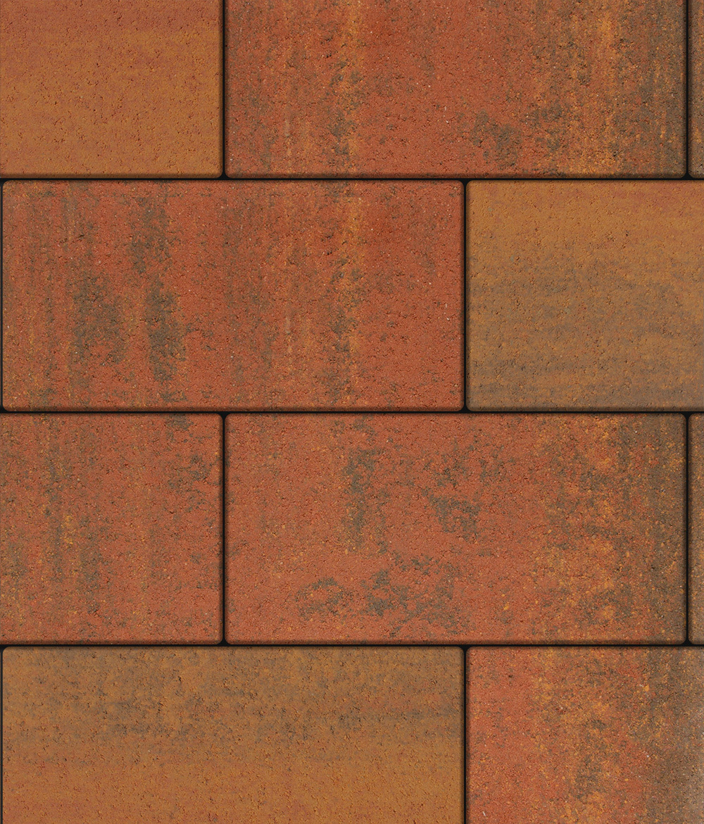 Тротуарная плитка ВЫБОР, форма Прямоугольник 600*300, h=60мм