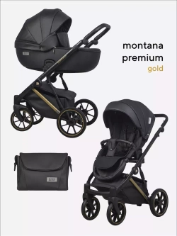 Коляска MONTANA PREMIUM (2 в 1) (RIKO BASIC)