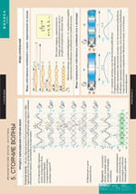 Комплект таблиц "Механические волны. Акустика" (8 таб.)