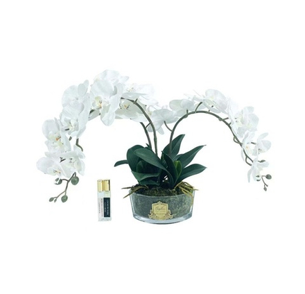 Букет ароматический Cote Noire Oval Orchid Ivory White