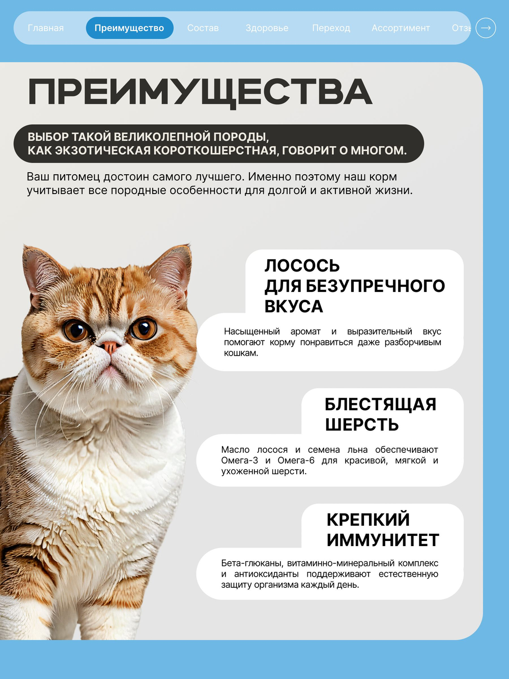 Корм сухой для взрослых кошек породы Экзотическая короткошерстная, с лососем, 5 кг, QUATTRO