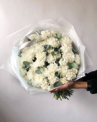 Диантусы белая ночь