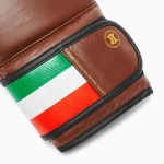 Боксёрские перчатки LEONE 1947 Italy '47 black/white/brown