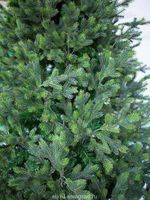 Большая елка с гирляндой «Сказочная светодинамическая» (литая+пвх) 7,5 м