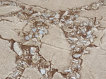 Италия 1,06 м 83552 Amuleto