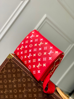 Louis Vuitton Coussin PM