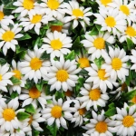 Искусственное растение шар «Самшит» цветы белые D-45см Ultramarine