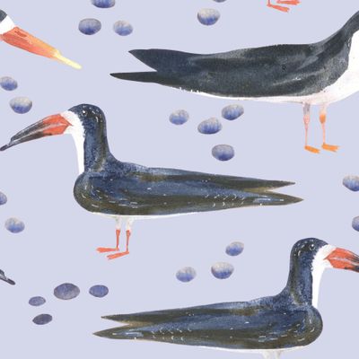 Африканская птичка водорез на сиреневом фоне