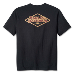 Футболка мужская Harley-Davidson 120th Anniversary