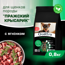 Корм сухой для щенков породы Пражский крысарик, премиум полнорационный комплекс, с ягненком, 800 гр, QUATTRO