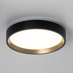 Citilux ETALON CL750181 LED Светильник с подсветкой Чёрный+Золото