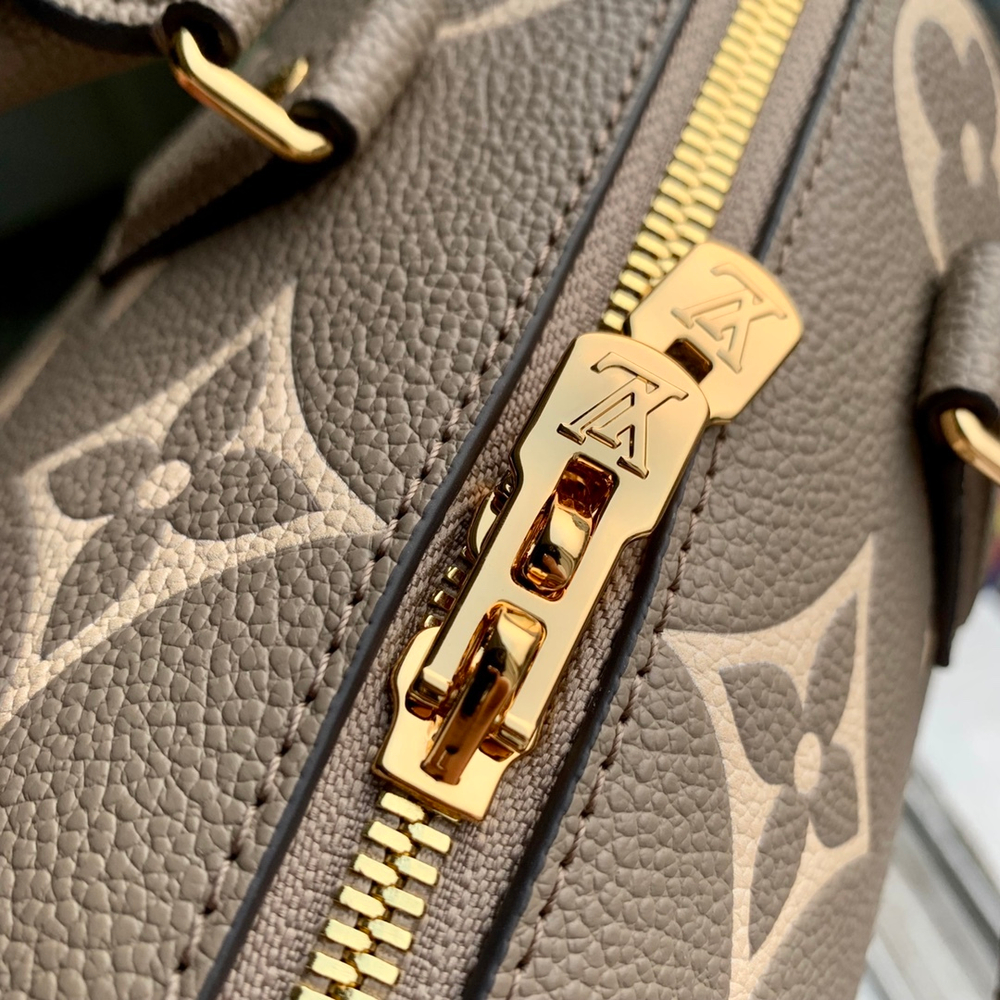Louis Vuitton Speedy 20