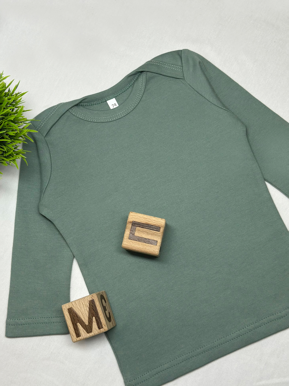 Футболка с длинным рукавом Полынь