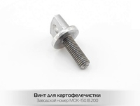 Винт с левой резьбой на чашу абразивную 18.200 МОК-300