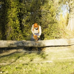 Бензопила Husqvarna Rancher 455, 9705499-15