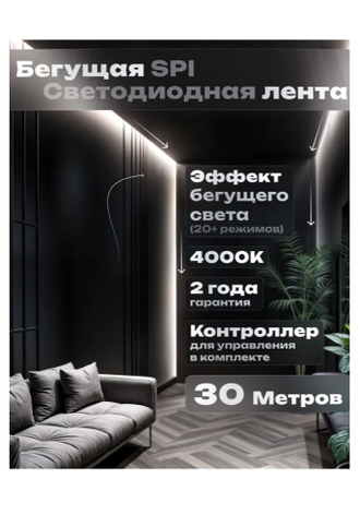 Бегущий свет SPI 30м
