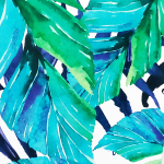 Комплект лонгборд EagleBoards Tropical 46/117см