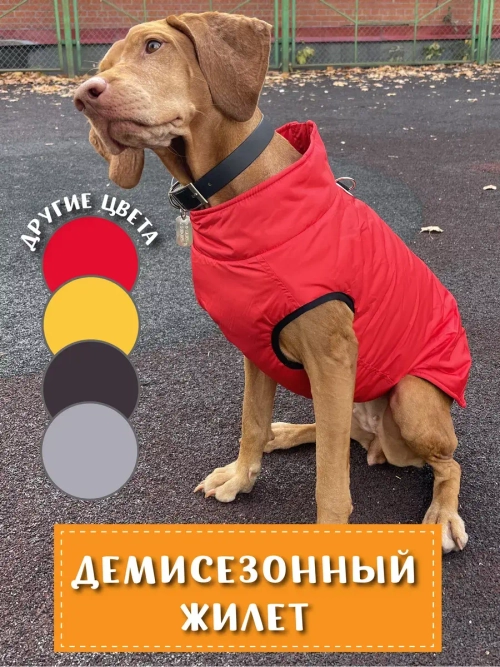 Жилет для собак мелких средних крупных пород