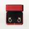 Серьги CARTIER JUSTE UN CLOU