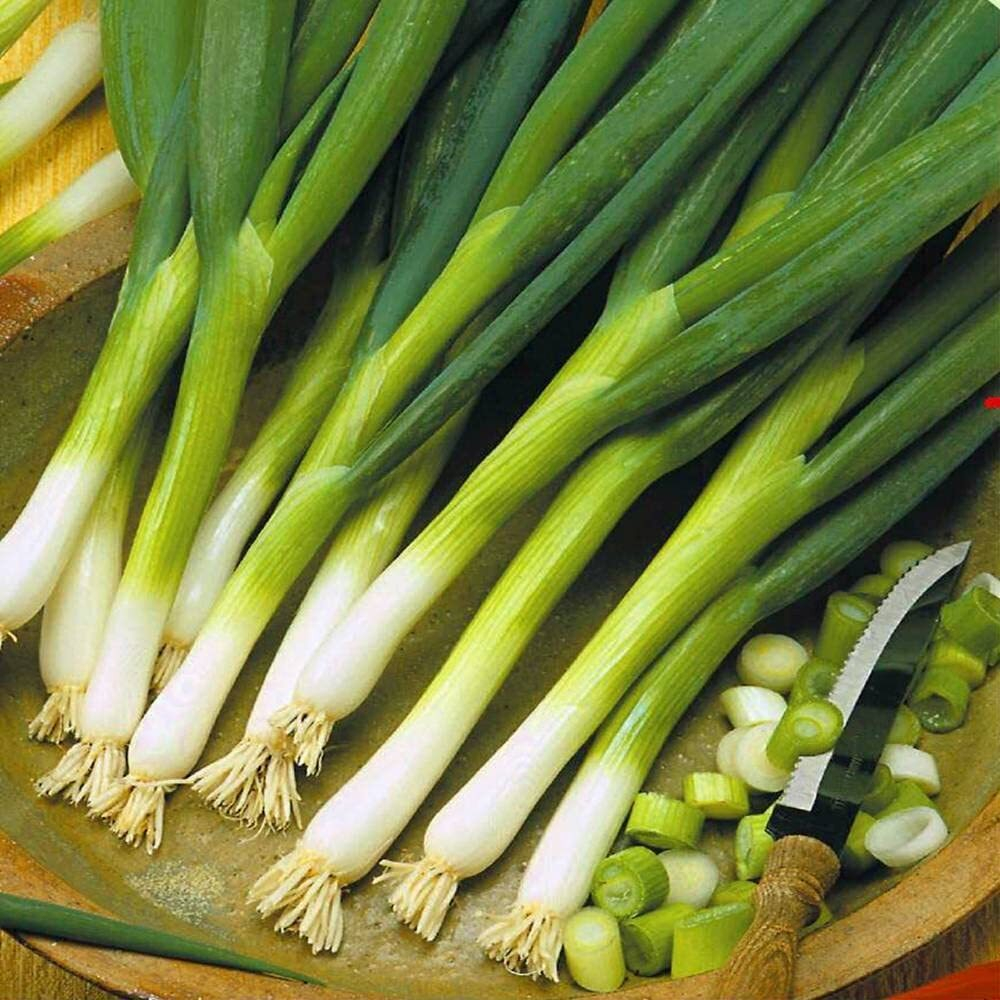 Лук на зелень Легионер (10гр) Витагрин Профи