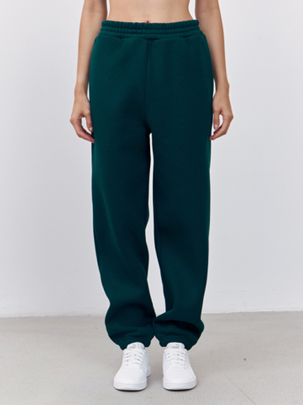 Брюки женские с начесом (изумрудный)