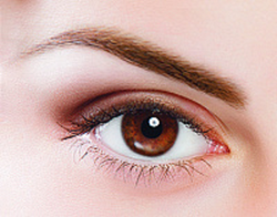 Пигмент Красивое Лицо Всегда Сепия "Sepia" (пластик), 10мл