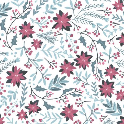 рождественская звезда Пуансеттия зимний цветочный