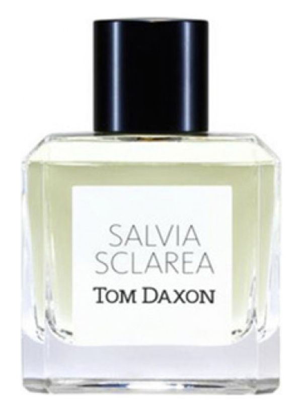 Tom Daxon Salvia Sclarea