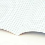 Тетрадь предметная "STARLIGHT" 48 л., глянцевый УФ-лак, ОБЩЕСТВОЗНАНИЕ, клетка, BRAUBERG, 404521