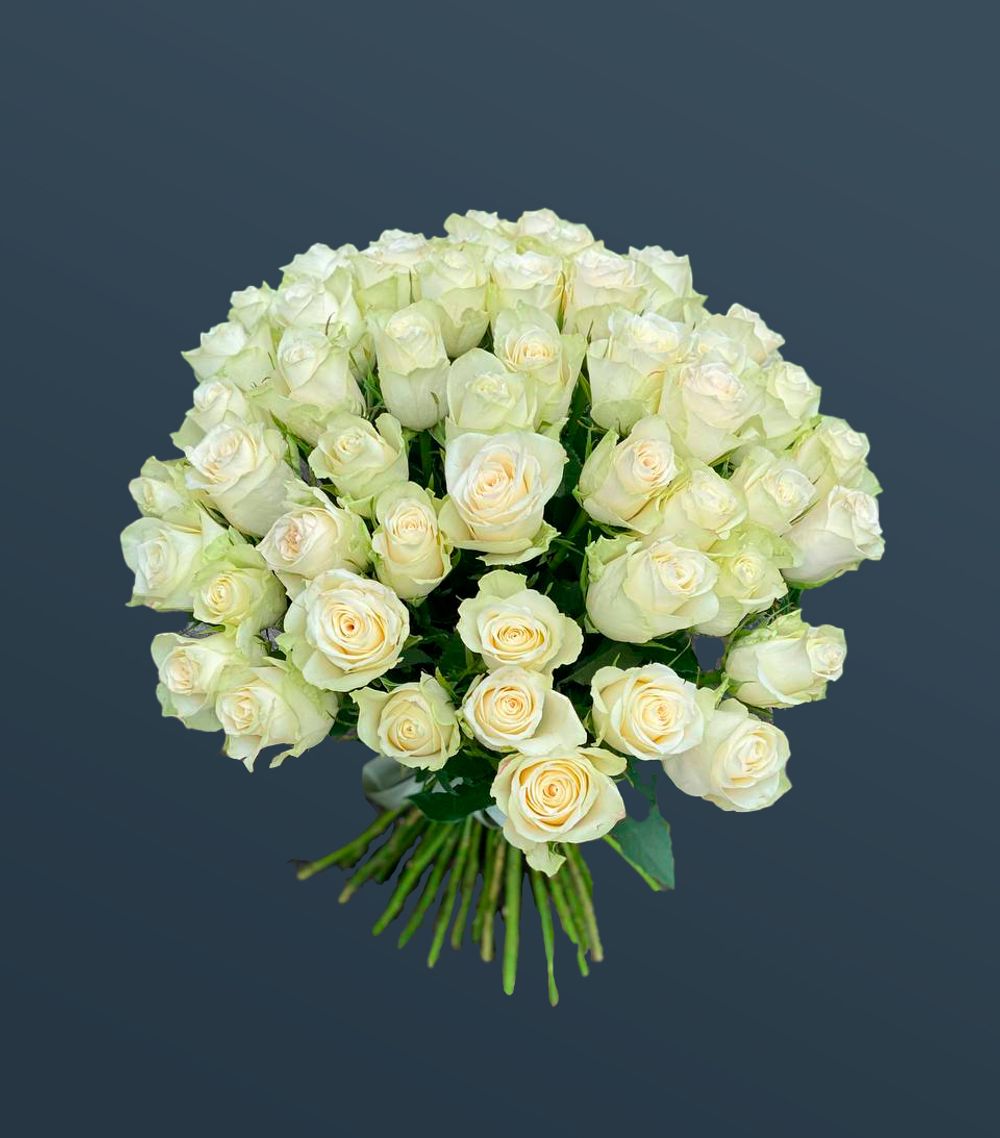 Розы белые 51 шт