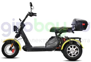Электротрицикл SIBERTON PRO TRIKE 3000W (60V/21Ah) фото №8