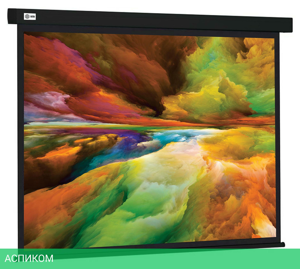 Проекционный экран Cactus CS-PSW-206X274-BK черный