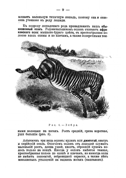 Животноводство. Учение о том, как с пользой для людей разводить, содержать и лечить лошадей, коров, овец, свиней, коз, кроликов и птиц | Майстрах Владимир Францевич
