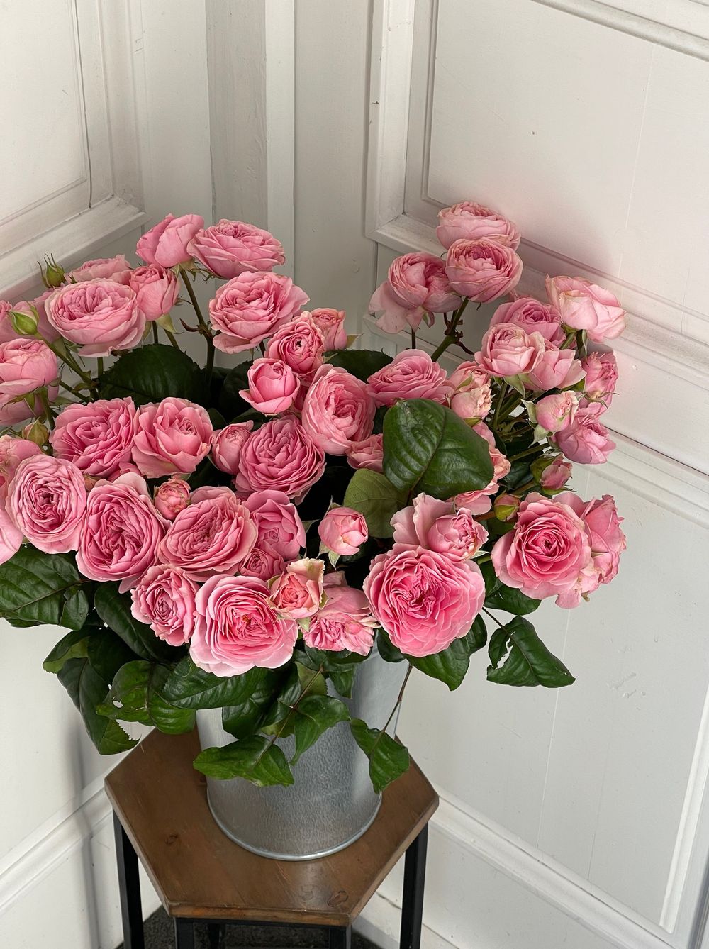 Пионовидная кустовая роза сорт ФАТАЛ