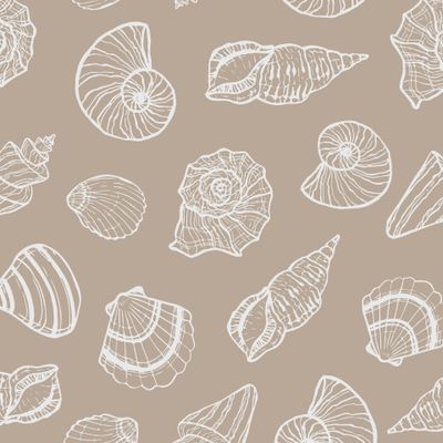 Морские ракушки