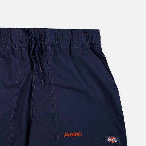 Брюки мужские Dickies Fishersville Pant артикул:DK0A4YSDDNX1 - купить в магазине Дайс