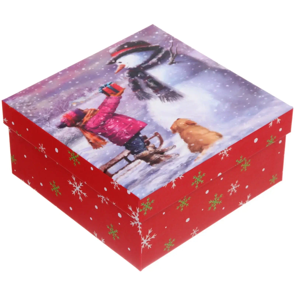 Коробка подарочная «Дед Мороз и кошка» 20*20*9,5 см