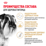 Royal Canin Miniature Schnauzer Adult Миниатюрный Шнауцер Эдалт Корм сухой для взрослых собак породы Миниатюрный Шнауцер от 10 месяцев 3кг