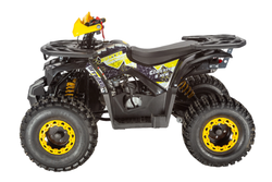 Квадроцикл AVANTIS Classic 8 New