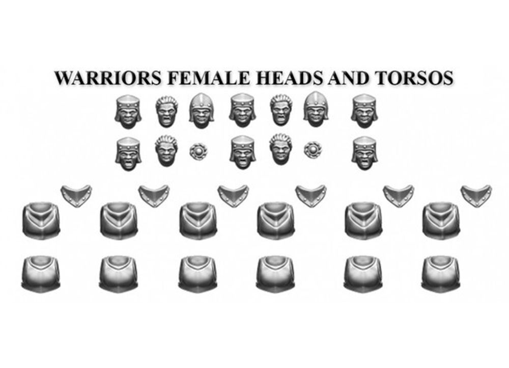 FWSRAC01       Warriors female heads and torsos