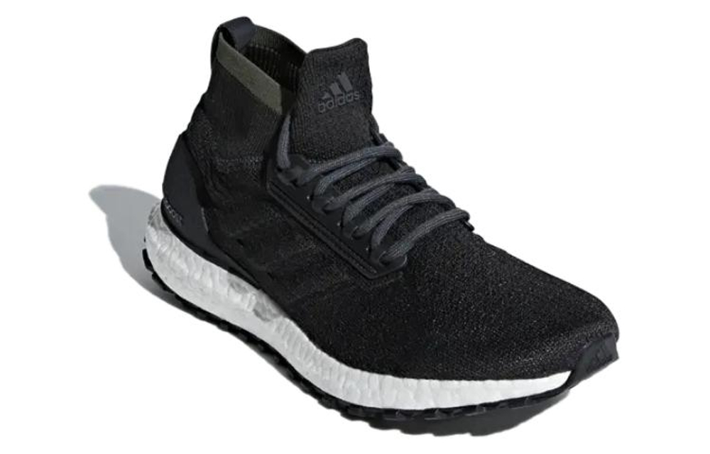 Adidas UltraBoost All Terrain "Carbon"