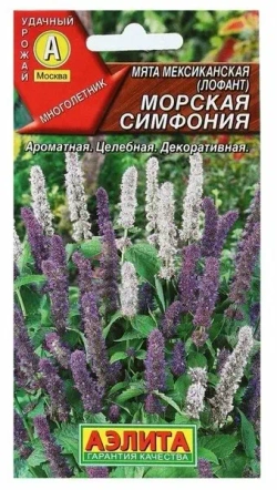 Мята семена