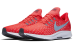 Кроссовки Nike Pegasus 35 (Женская размерная сетка)