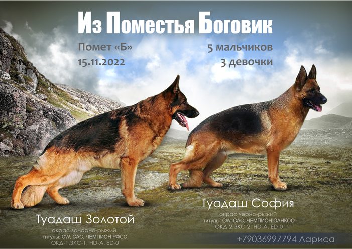 Помет "Б"