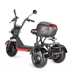 Электротрицикл WHITE SIBERIA TRIKE MINI 1500W