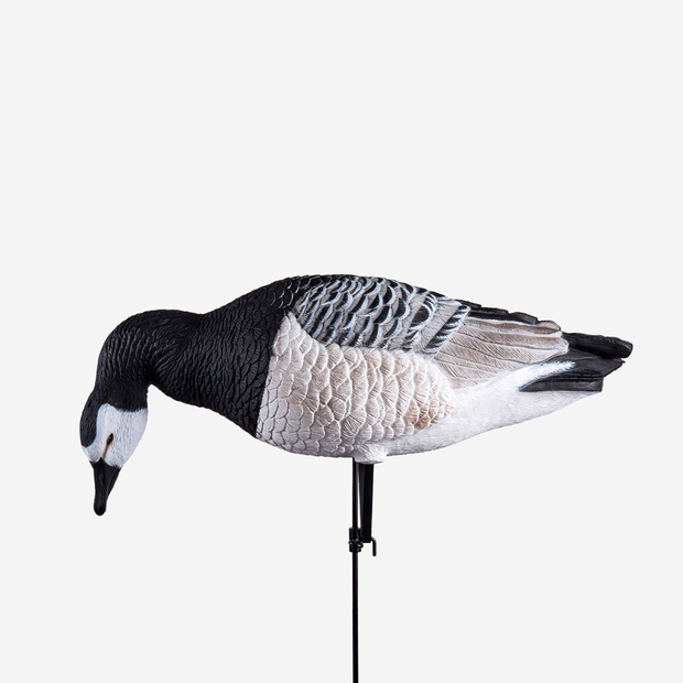 Белощекая казарка Duck Mania "ELITE"