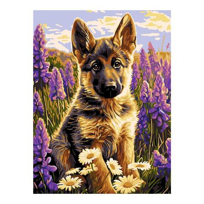 Картина по номерам холст на подрамнике 30*40см. "Маленький друг" (Lori)