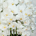 Искусственные цветы Орхидеи Люкс 7 веток 80см в широком кашпо